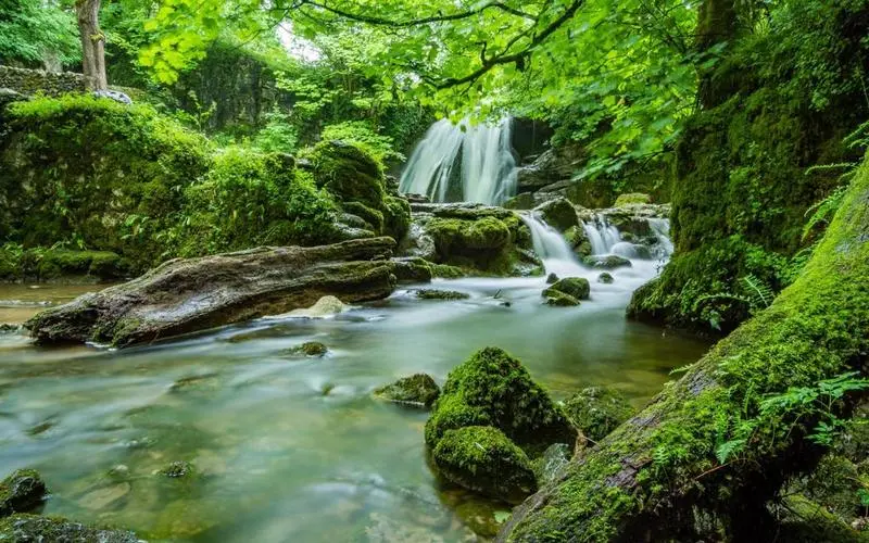 高效可靠性